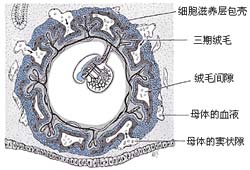 Figure 2  (Click here to enlarge)