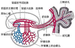 Figure 4  (Click here to enlarge)