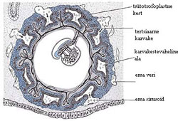 Figure 2  (Click here to enlarge)