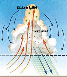 Figure 4  (Click here to enlarge)