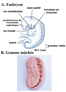 Figure 4  (Click here to enlarge)