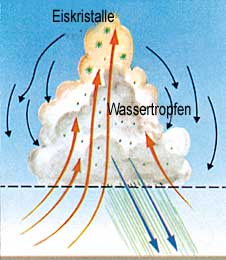 Figure 4  (Click here to enlarge)