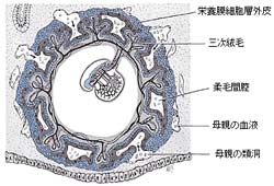Figure 2  (Click here to enlarge)