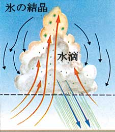 Figure 4  (Click here to enlarge)